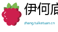 伊何底止网